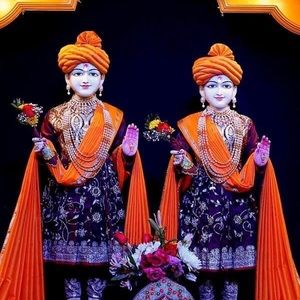 Meet your Posher, Anil